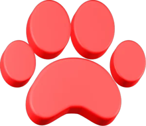 Paw Symbol, Footprint 3D Icon Free